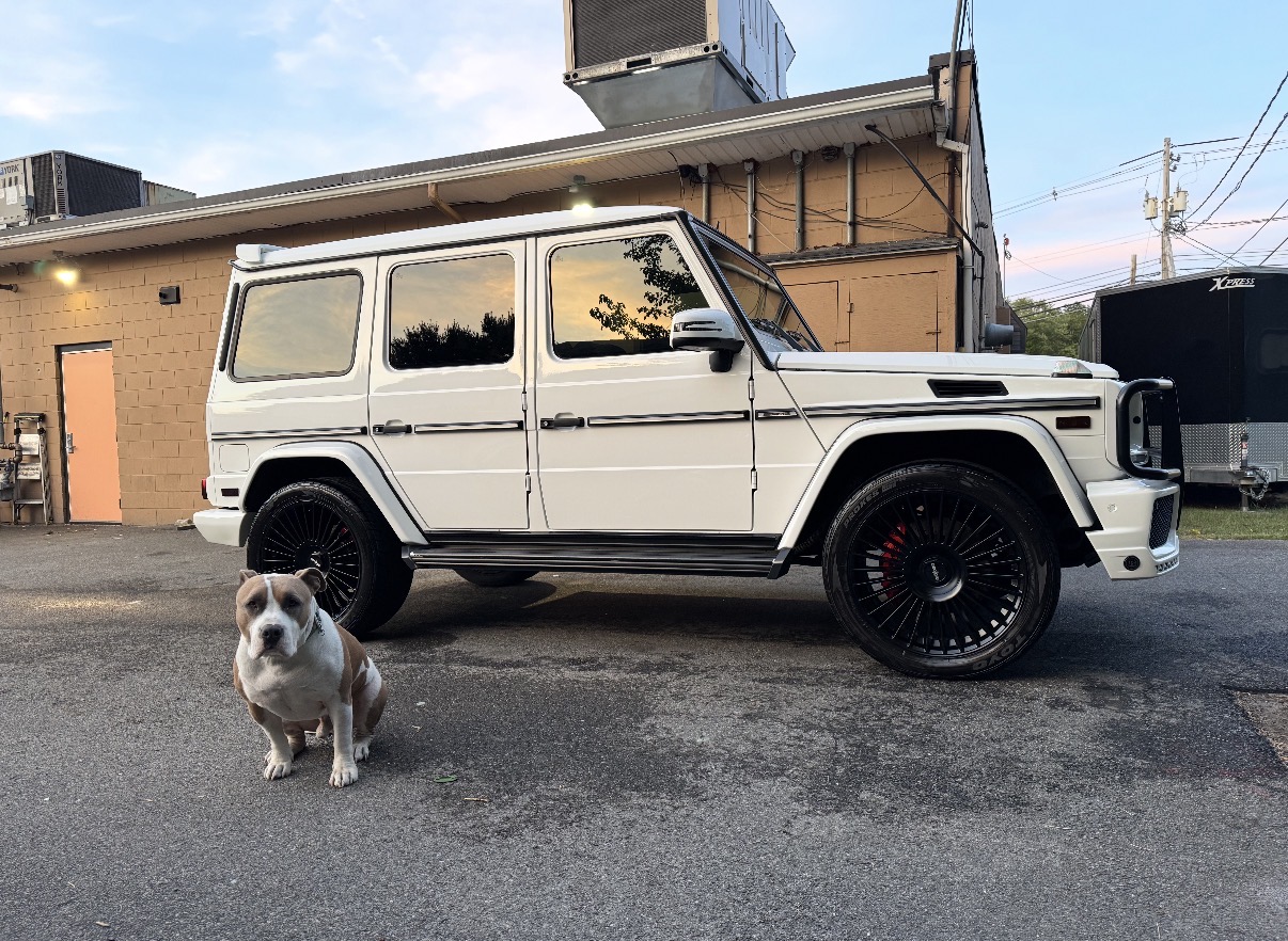 Vehicle after full interior and exterior detail